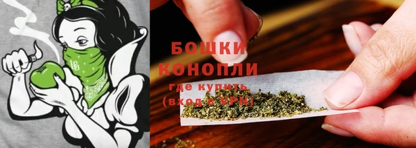дживик Лихославль